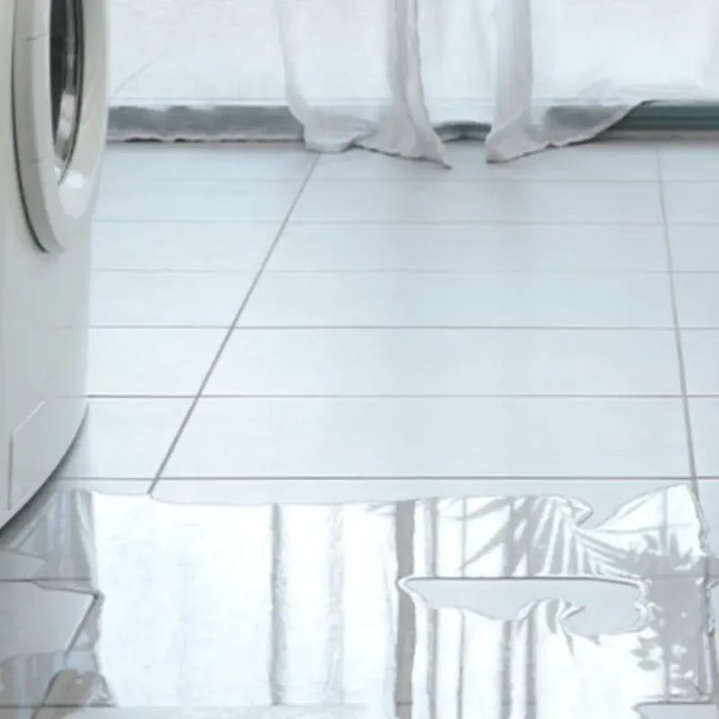 Appliance Leak Cleanup in Taft, FL